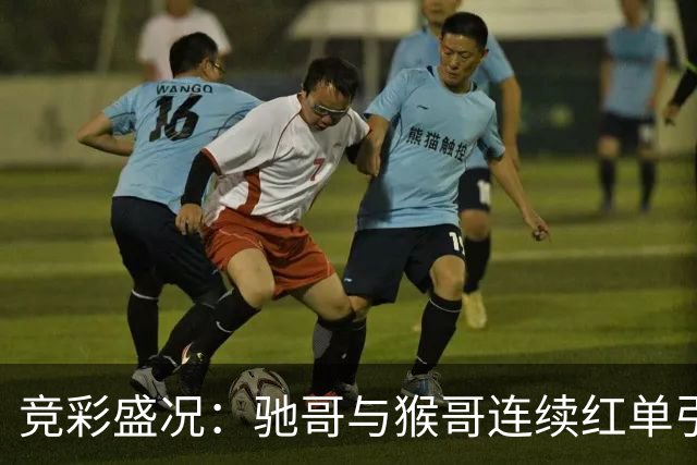 竞彩盛况：驰哥与猴哥连续红单引发关注