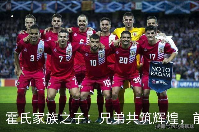 霍氏家族之子：兄弟共筑辉煌，前途无量
